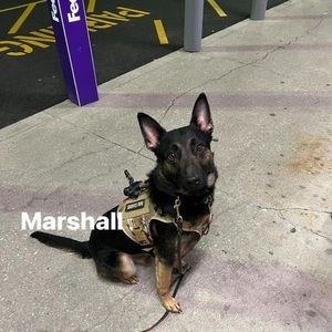 Meet your Posher, Christy